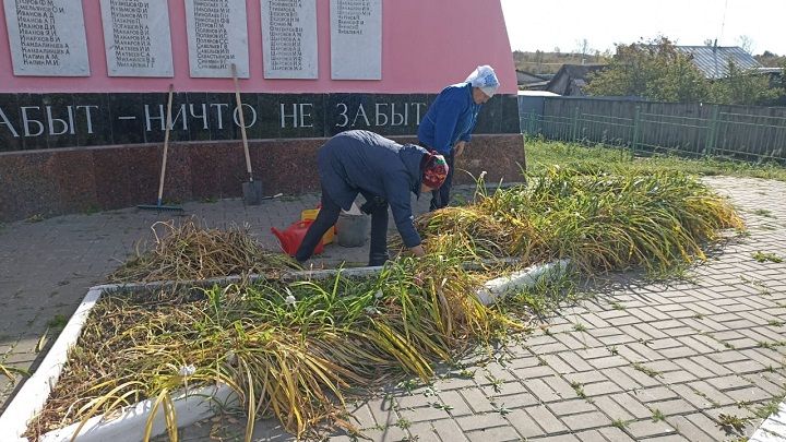 На аллее памяти в Красном Октябре высадили тюльпаны