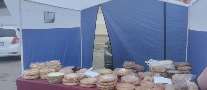 Новошешминцы на ярмарке в Казани