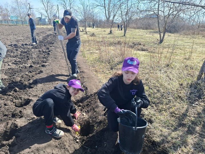 Первые и Орлята России приняли участие в мероприятии «Сад памяти»