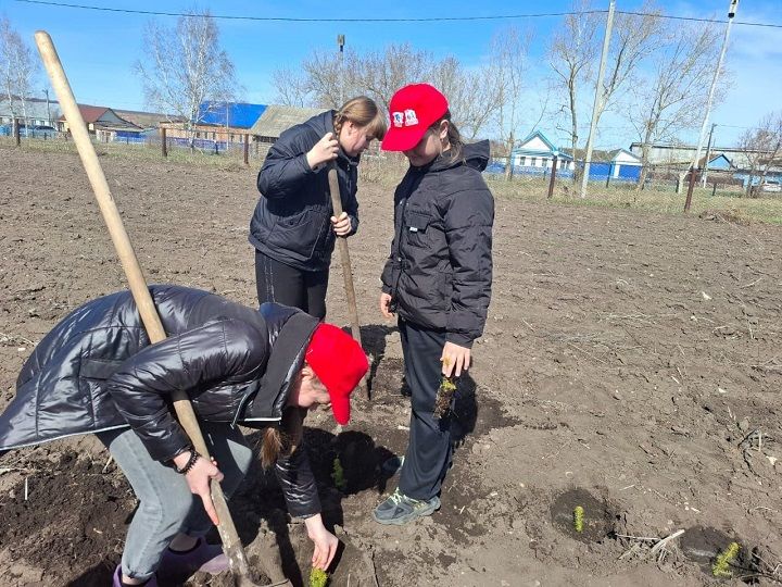 Первые и Орлята России приняли участие в мероприятии «Сад памяти»