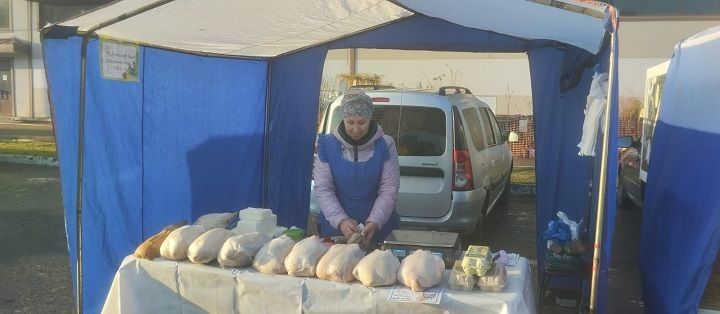 Новошешминцы  на ярмарке в Казани