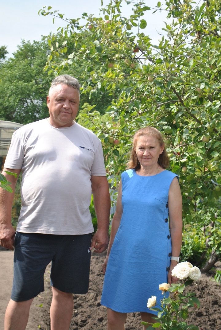 Тамырлар һәм канатлар