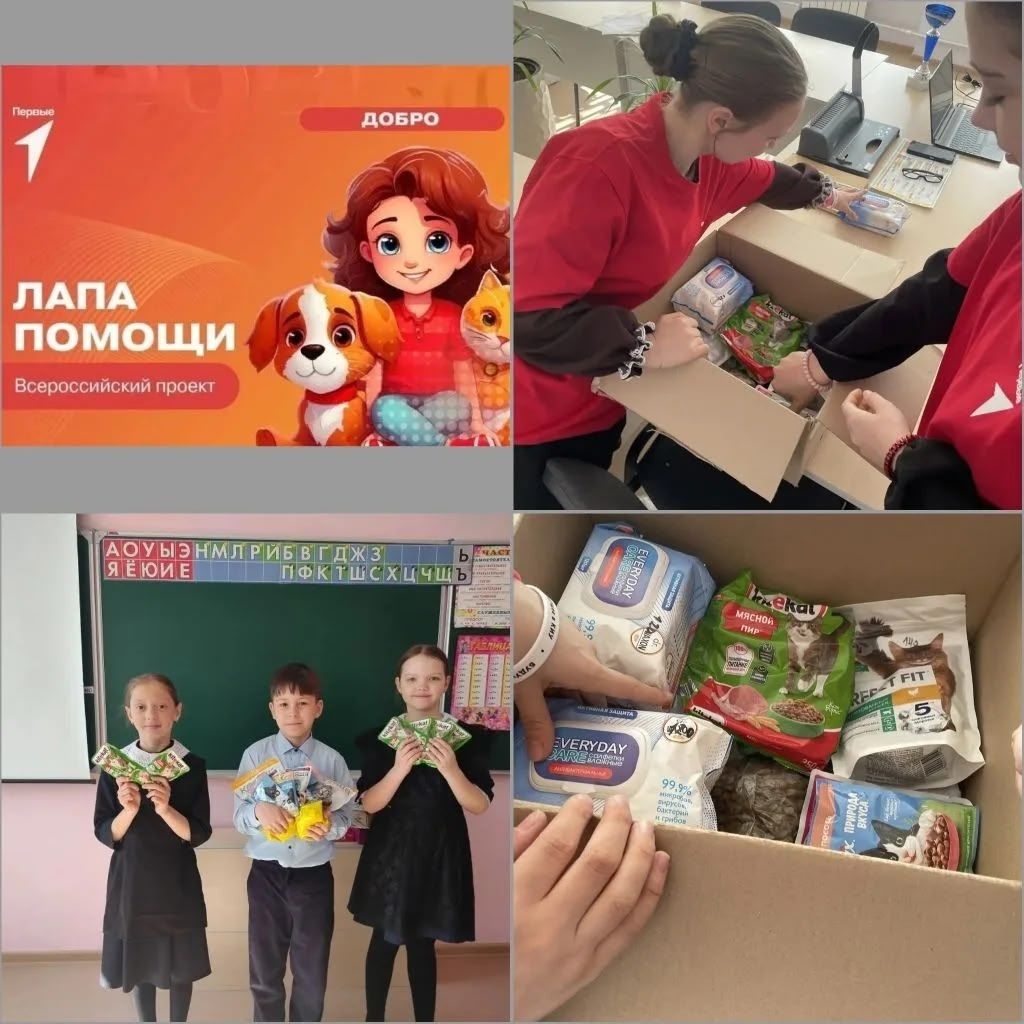 Утяшкинские школьники собрали корм для бездомных животных