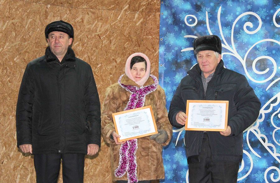 Открытие главной елки Новошешминского района