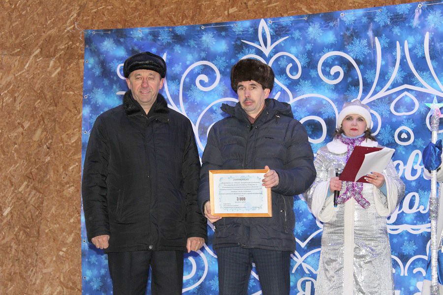 Открытие главной елки Новошешминского района