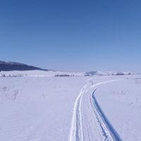 Народные приметы на 11 марта 2026 года: что можно и чего нельзя делать в этот день