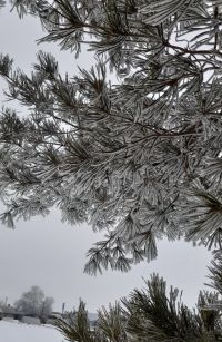 Народные приметы на 9 марта 2026 года: что можно и чего нельзя делать в этот день