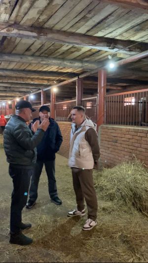 Руководитель района посетил конезавод в Слободе Петропавловской