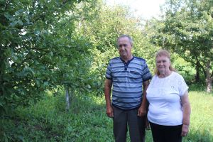 Два крыла одной судьбы