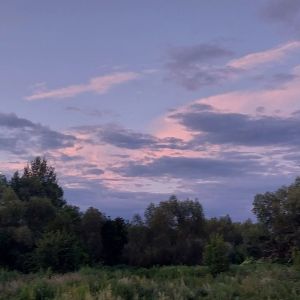 Народные приметы рассказывают о традициях, запретах и важных делах на день Авдотьи 17 августа 2026 года