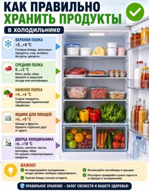 Как правильно хранить продукты в холодильнике