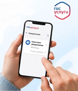 Налоговые уведомления теперь приходят на «Госуслуги» автоматически