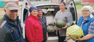 Добрые дела из Горшково: урожай для дома-интерната и помощь бойцам
