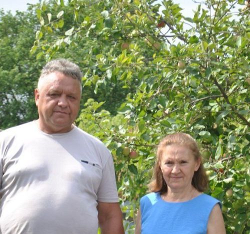 Тамырлар һәм канатлар