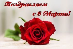 С праздником, милые женщины!