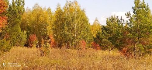 Народные приметы на 19 октября 2023 года: что можно и чего нельзя делать в этот день
