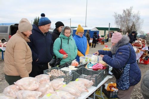 На Новошешминской ярмарке 18 ноября реализовано продукции на 1 миллион рублей