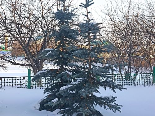 Народные приметы на 7 декабря 2023 года: что можно и чего нельзя делать в этот день