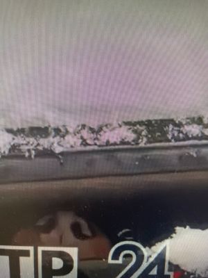 В Татарстане житель Нижнекамска снял на видео запертую в автомобиле собаку