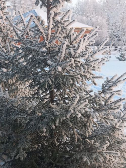 Народные приметы на 28 февраля 2023 года: что можно и чего нельзя делать в этот день