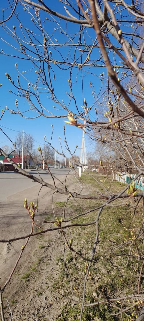 Народные приметы на 15 апреля 2023 года: что можно и чего нельзя делать в этот день