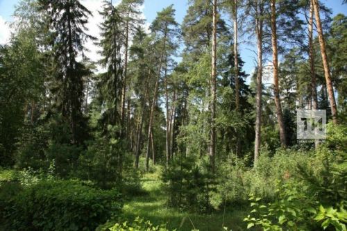 «Горячая линия» Управления Роспотребнадзора по Республике Татарстан по вопросам профилактики клещевых инфекций