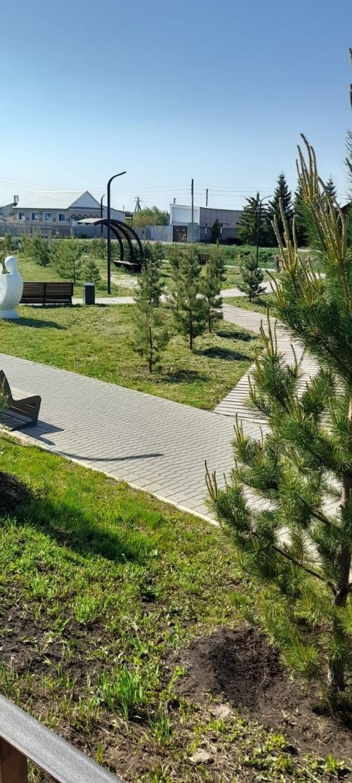 В Татарстане в начале следующей недели ожидается 30-градусная жара