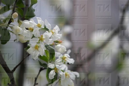 Народные приметы на 2 мая 2023 года: что можно и чего нельзя делать в этот день