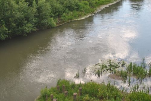 Народные приметы на 29 июля 2023 года: что можно и чего нельзя делать в этот день