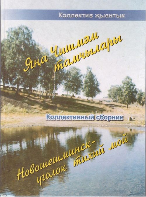Яңа Чишмәдәге «Бөреләр» әдәби берләшмәсе турында