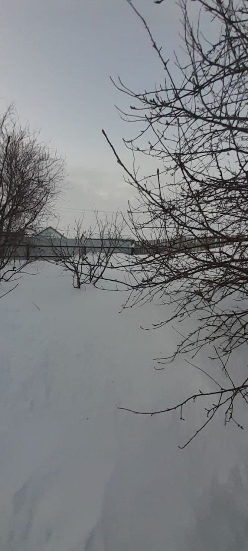 Народные приметы на 27 января 2024 года: что можно и чего нельзя делать в этот день