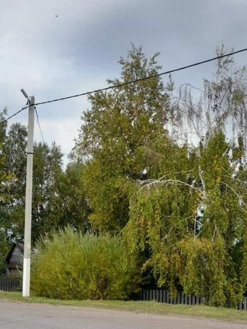 Народные приметы на 16 октября 2024 года: что можно и чего нельзя делать в этот день