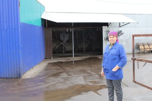 Гаилә девизы: «Эшләргә, эшләргә һәм эшләргә»