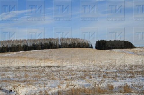 АПК: В Татарстане снегом покрыто до 95% полей за первые недели зимы