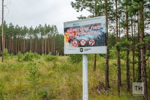 В лесах Татарстана начался пожароопасный сезон