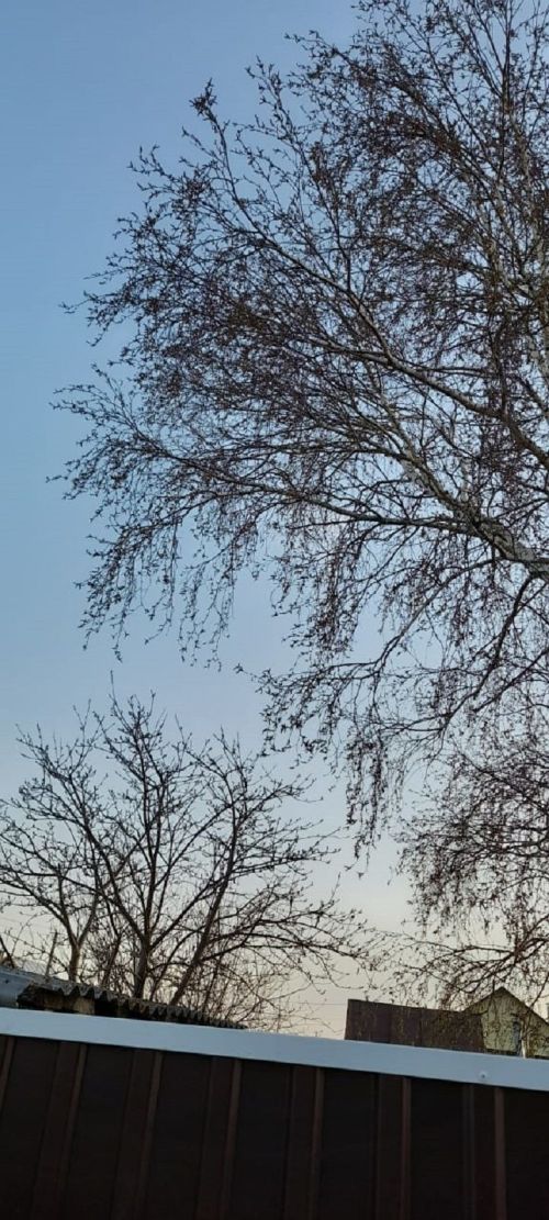 Народные приметы на 25 апреля 2024 года: что можно и чего нельзя делать в этот день