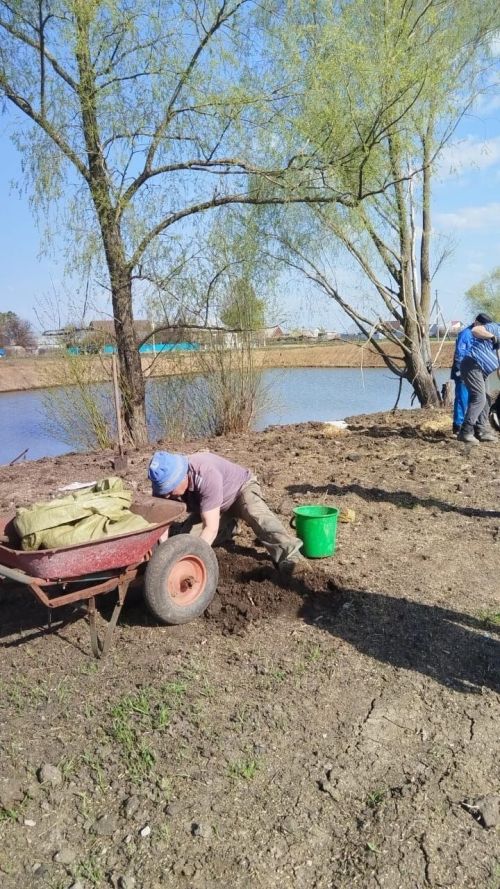 В Шахмайкино проделана большая работа по озеленению