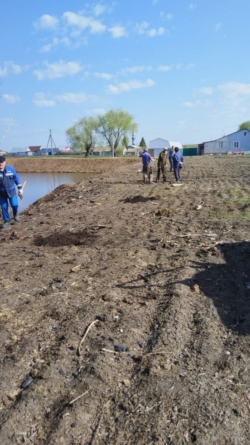В Шахмайкино проделана большая работа по озеленению