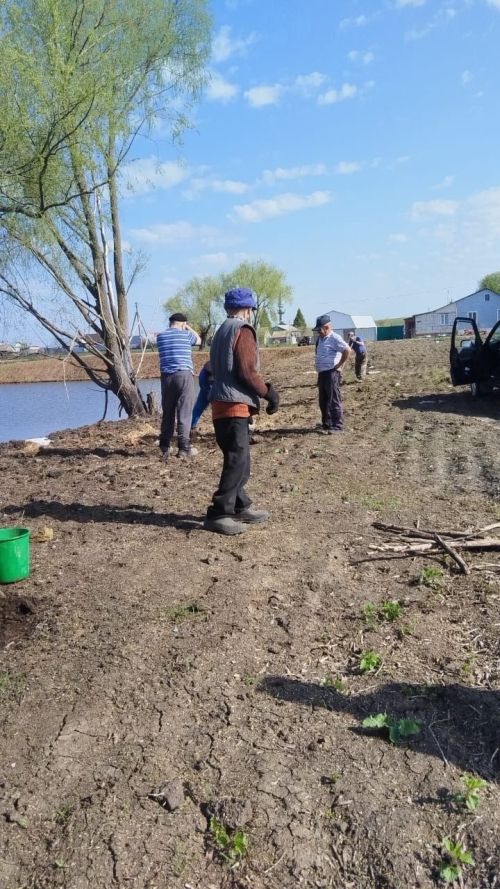 В Шахмайкино проделана большая работа по озеленению