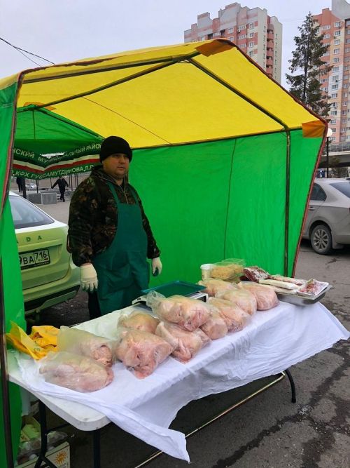 Новошешминцы на ярмарке в Казани