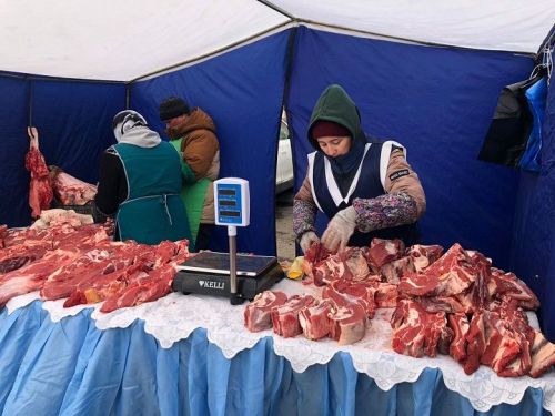 Новошешминцы на ярмарке в Казани