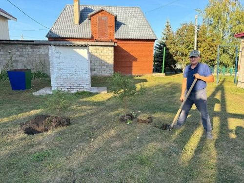 Приняли участие в акции «Посади дерево»