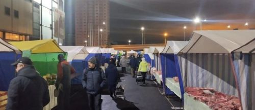 Новошешминцы на ярмарке в Казани