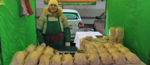 Новошешминцы на ярмарке в Казани