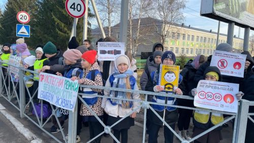 В Новошешминске прошла акция «День памяти жертв ДТП