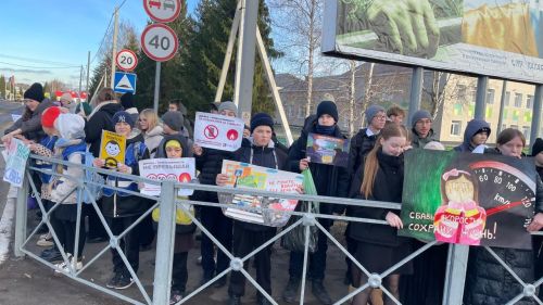 В Новошешминске прошла акция «День памяти жертв ДТП