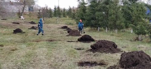 Благоустройство продолжается: в Новошешминском районе идут работы по посадке сосен
