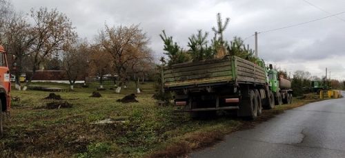 Благоустройство продолжается: в Новошешминском районе идут работы по посадке сосен