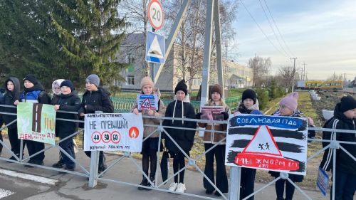 В Новошешминске прошла акция «День памяти жертв ДТП