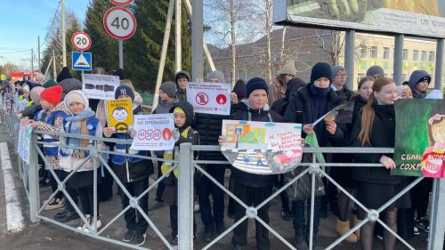 В Новошешминске прошла акция «День памяти жертв ДТП
